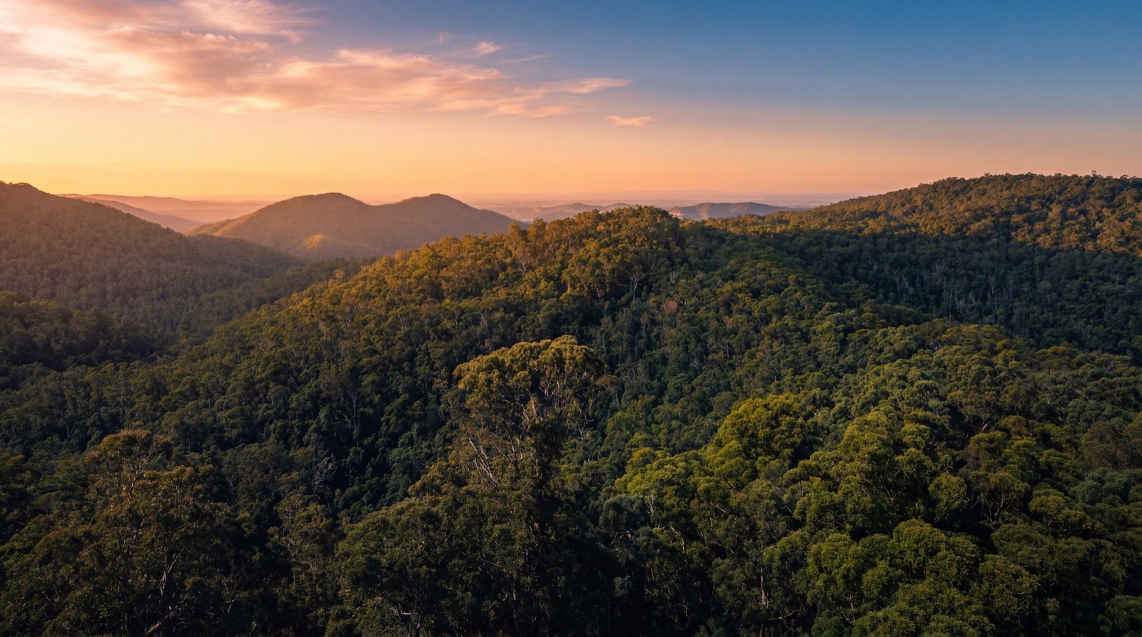 Golden-hour light across forested ridges of the D'Aguilar Range